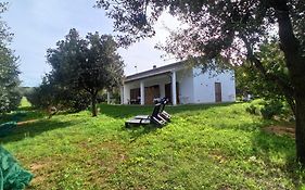 Agriturismo La tana della volpe